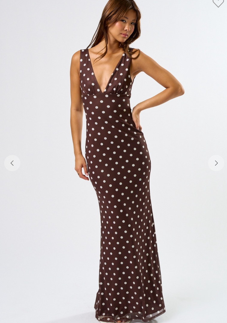 Mesh Polka Maxi Dress