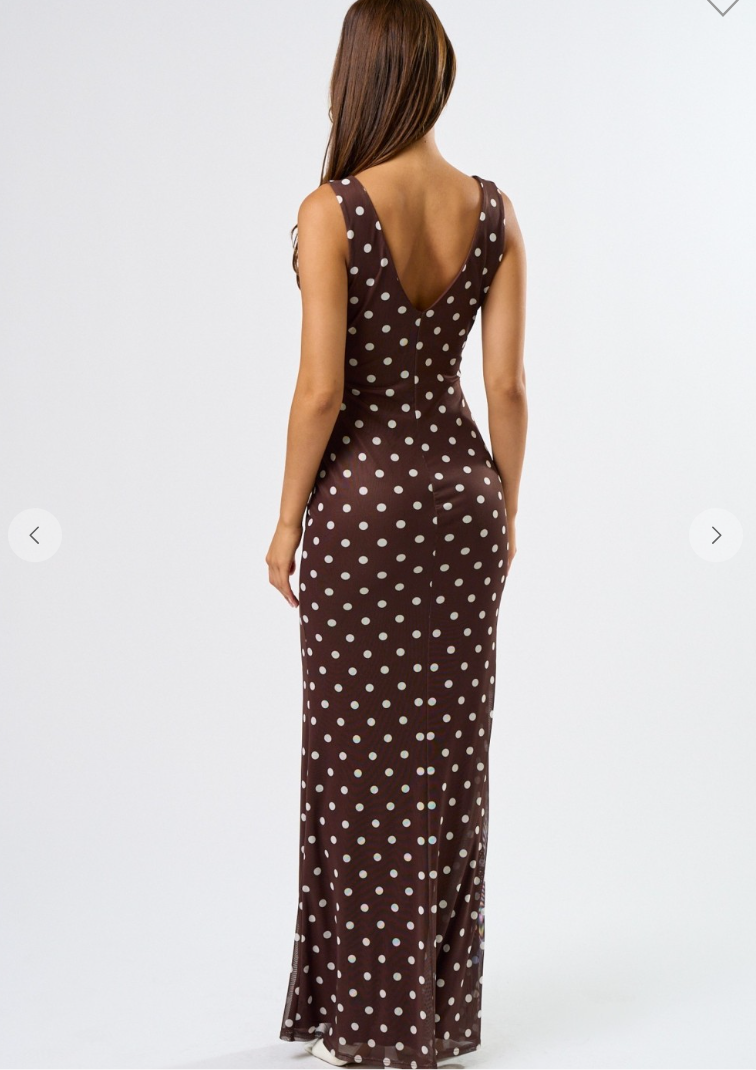 Mesh Polka Maxi Dress