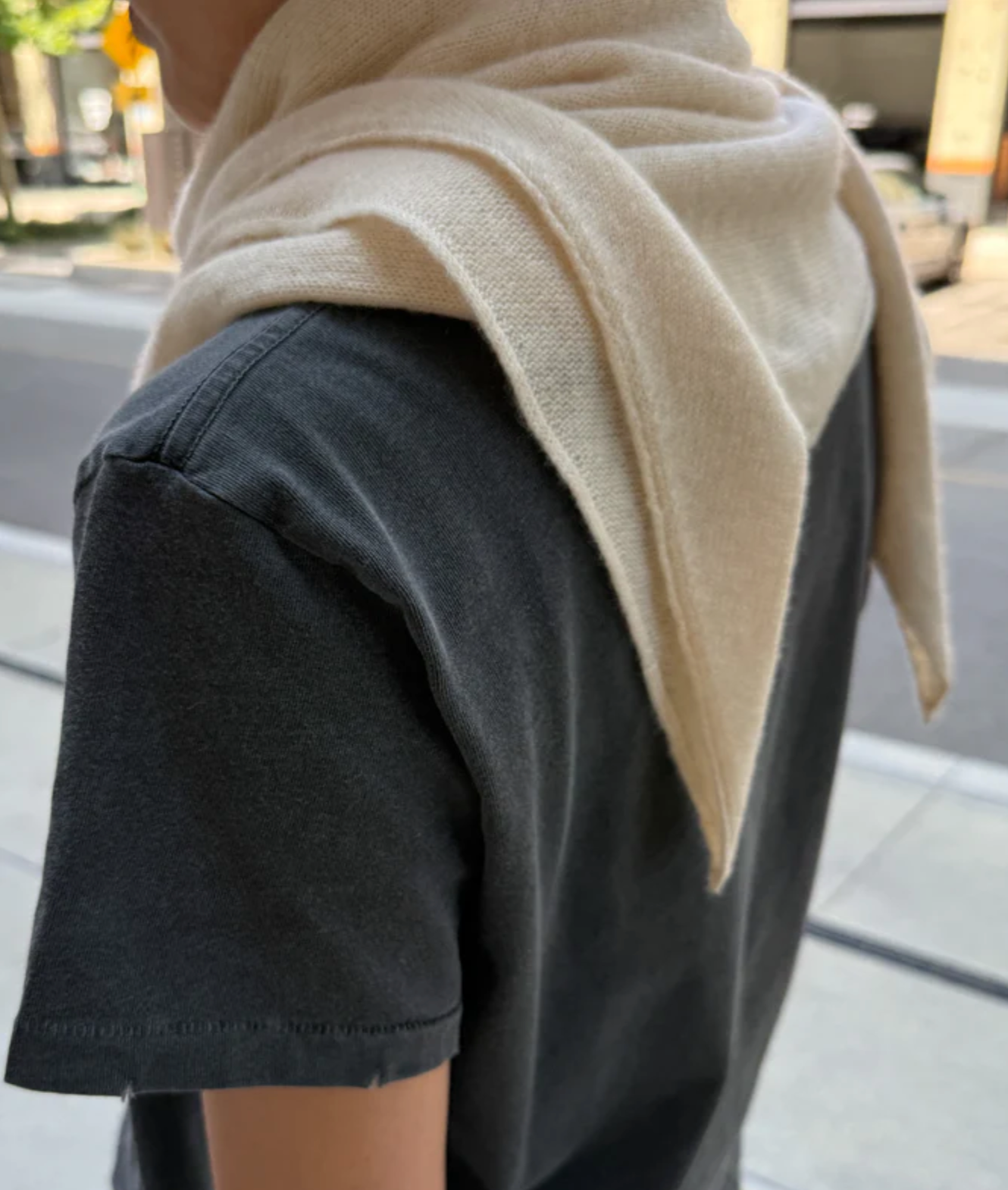 Cashmere Shawl