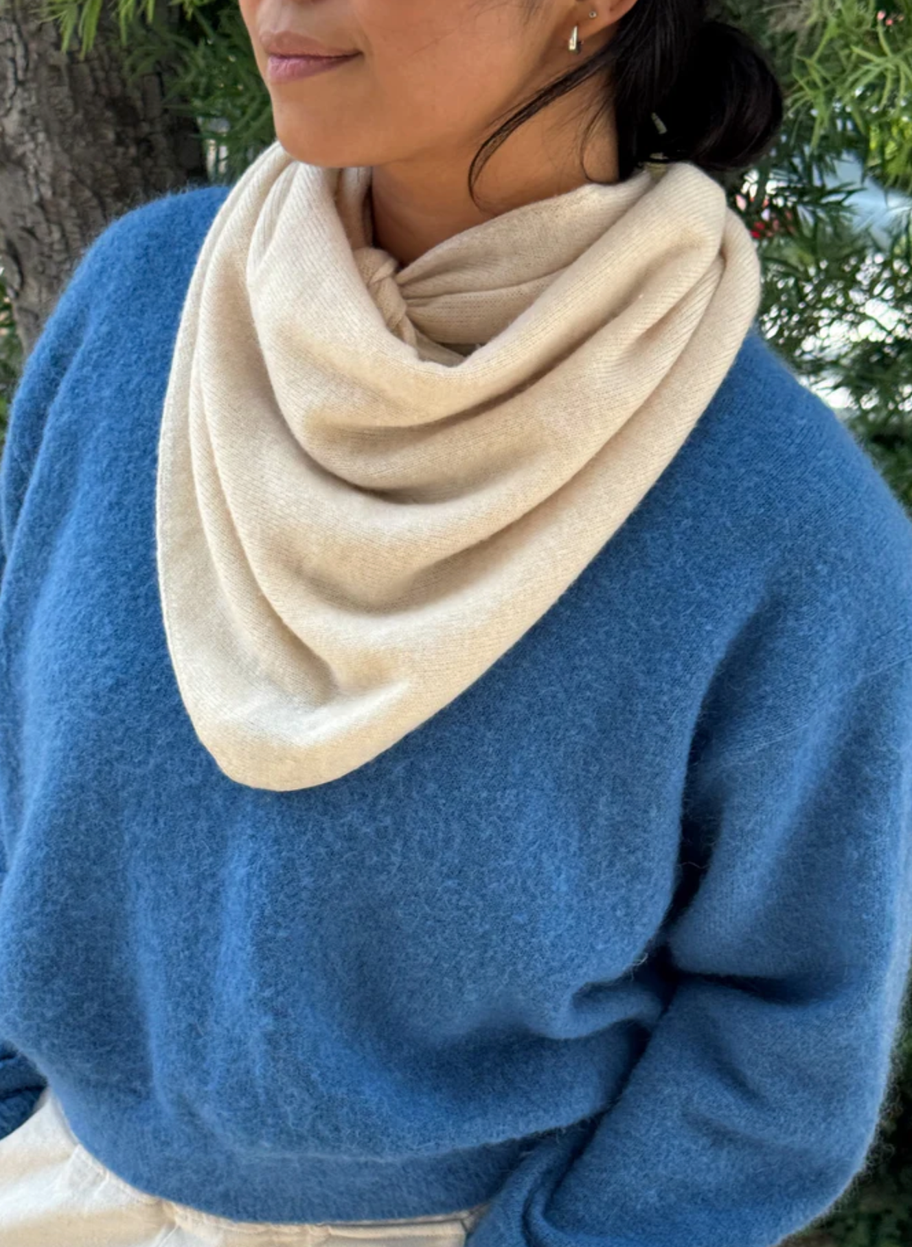 Cashmere Shawl